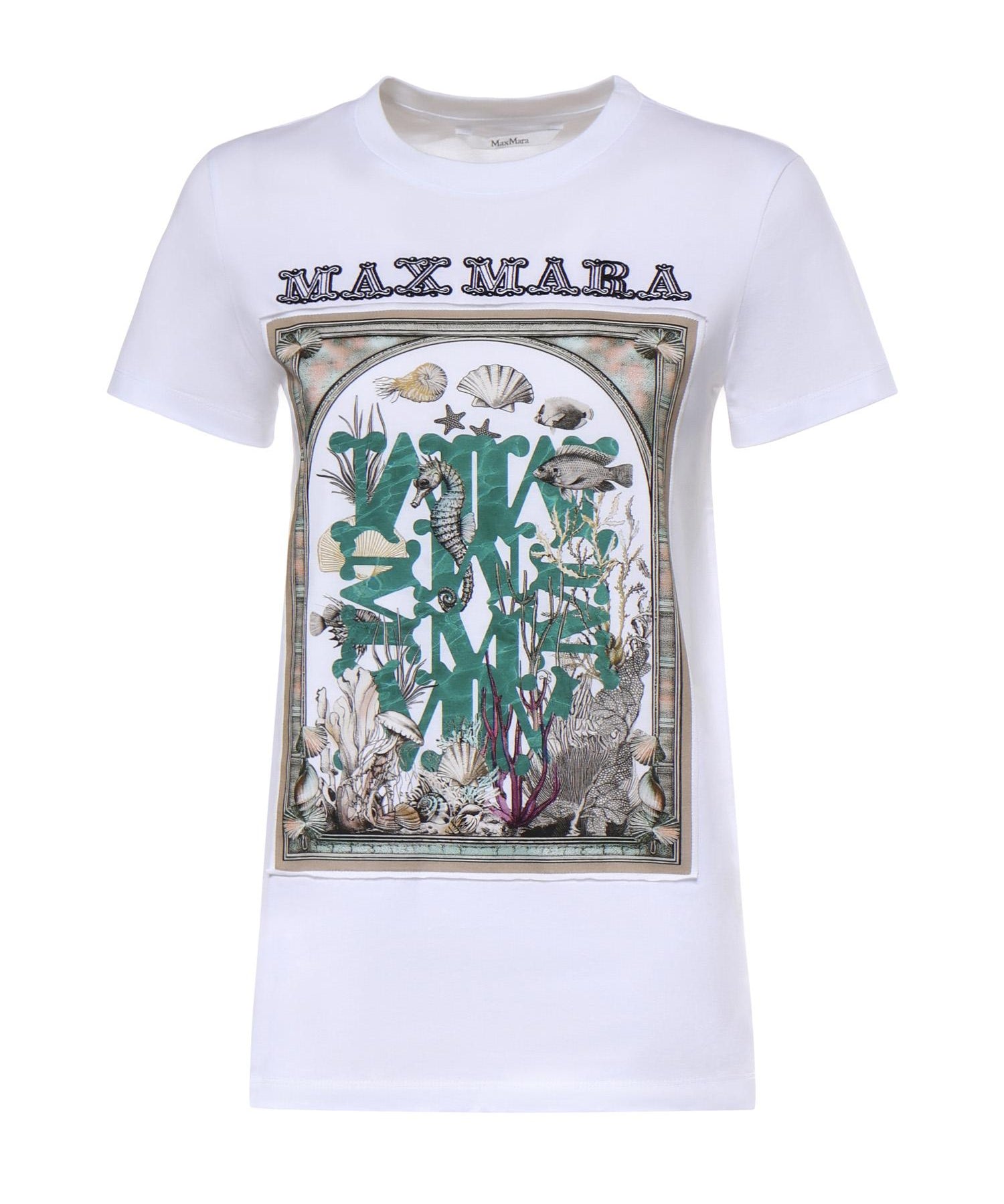 T-shirt in jersey di cotone 2611941062600 019 MAX MARA 