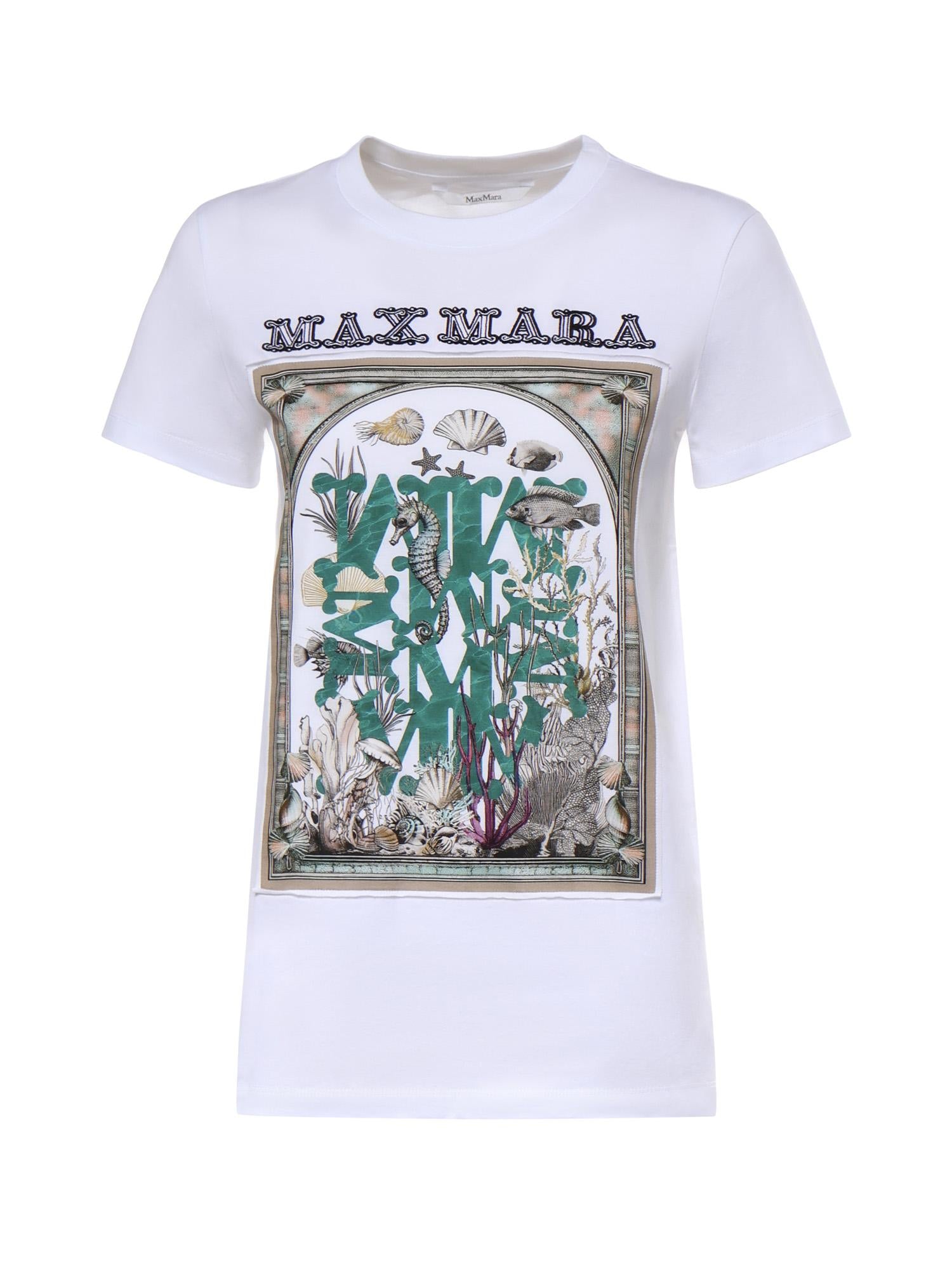T-shirt in jersey di cotone 2611941062600 019 MAX MARA 
