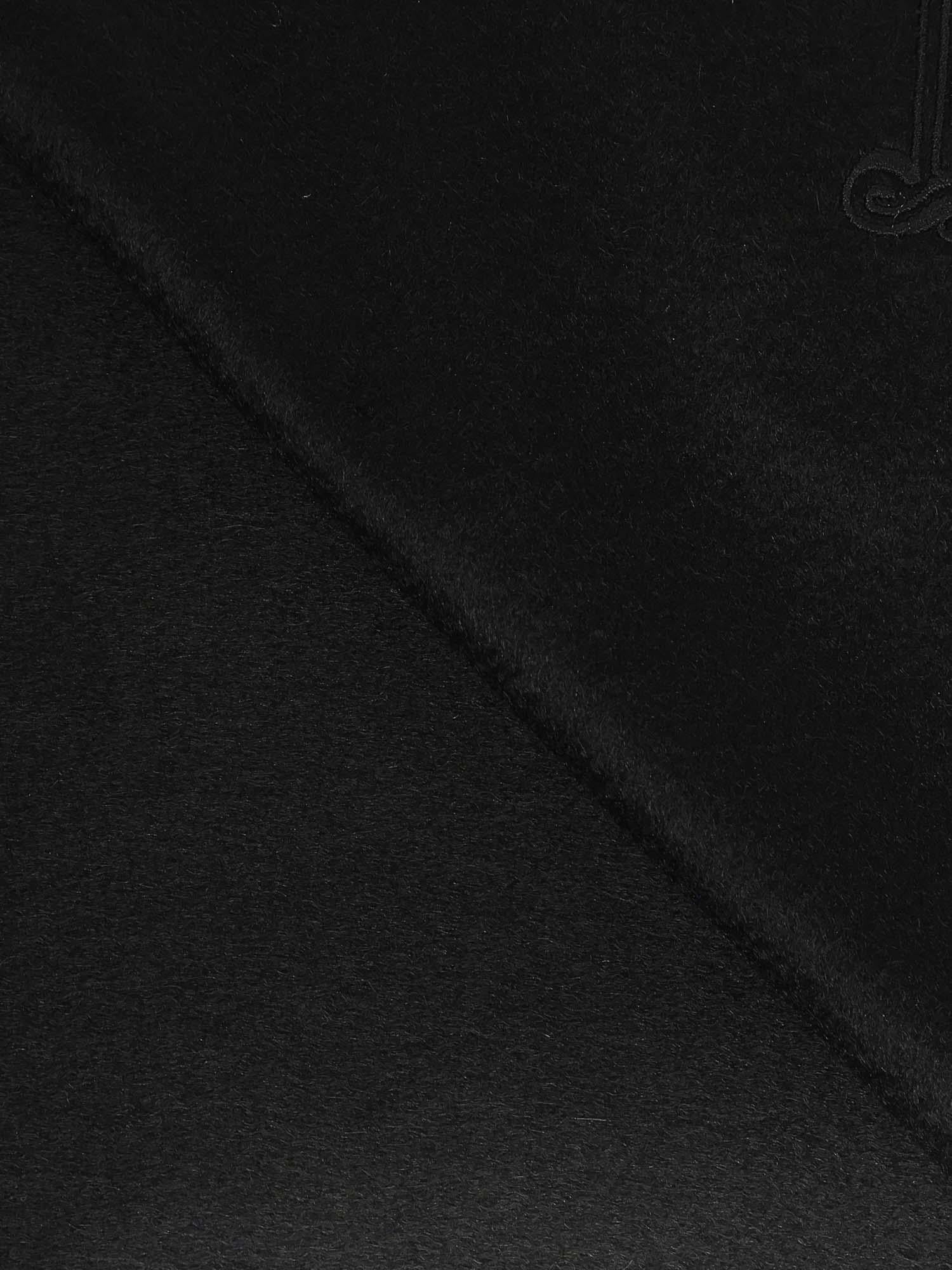 Sciarpa in cashmere WsDalia 2524546311600 008 MAX MARA 